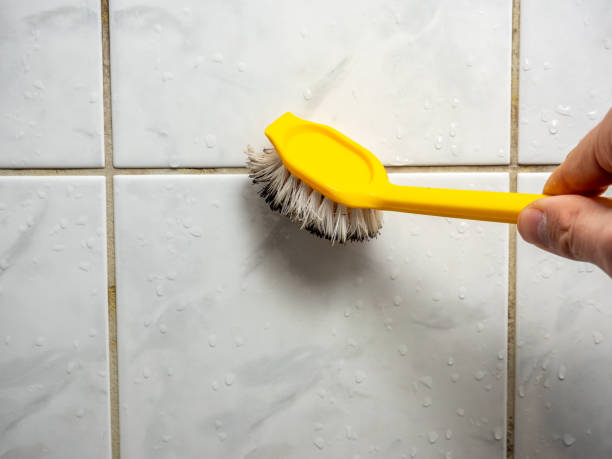 Best Preventive Mold Services in Amherst, VA