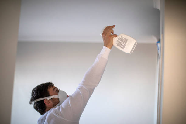 Best White Mold Remediation in Amherst, VA