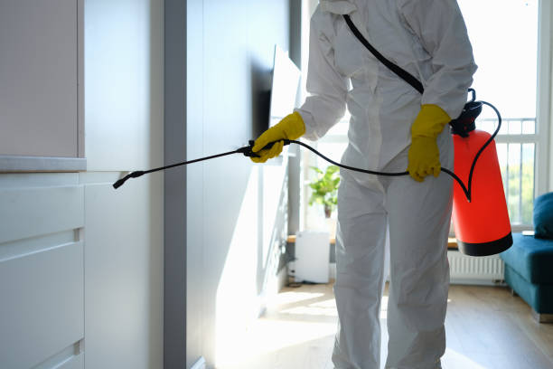 Best Emergency Mold Remediation in Amherst, VA