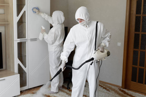 Best HVAC Mold Remediation in Amherst, VA