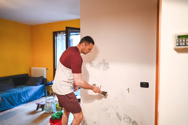 Best Mold Testing and Inspection Services in Amherst, VA